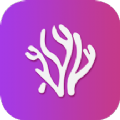 珊瑚视频播放器app官方版v1.1
